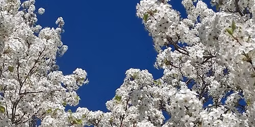 May Storytime: "Grumpy Monkey: Mom for a Day"