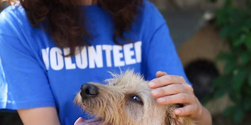 Volunteer Orientation 