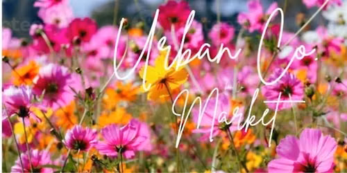 Urban Co. Markets