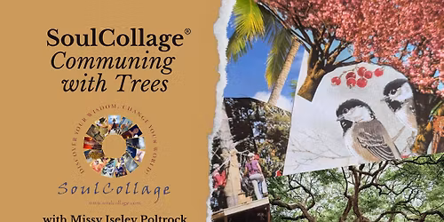SoulCollage\u00ae Day: Communing with Trees