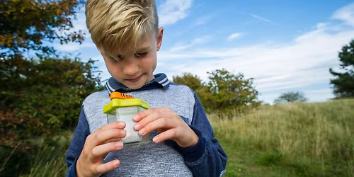 Wild in the Meadows(Trumpington Meadows): swifts and bugs