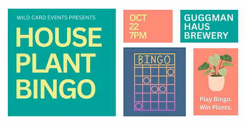 House Plant BINGO!