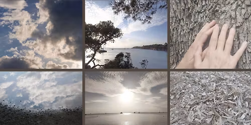 \ud83c\udf3f Breathing Land - A sensory + creative walk at Kavouri Beach