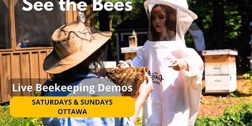 See the Bees | Live Beekeeping Demo | Saturdays & Sundays in Ottawa