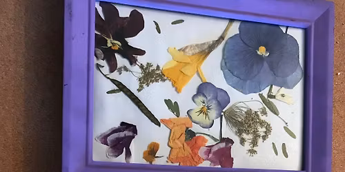 Pressed Flowers Picture Mats