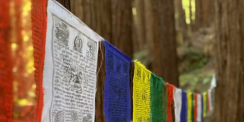 New Year Yoga Retreat 2024\/2025 w\/ Pete G Yoga