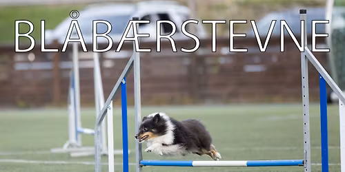 Bl\u00e5b\u00e6rstevne i Skien