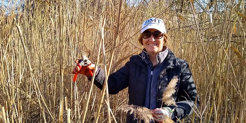 Volunteer - nurture nature