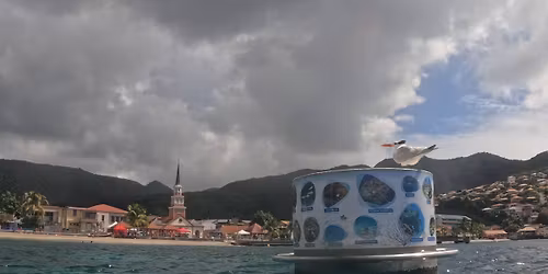 circuit snorkeling aux Anses d'Arlet 