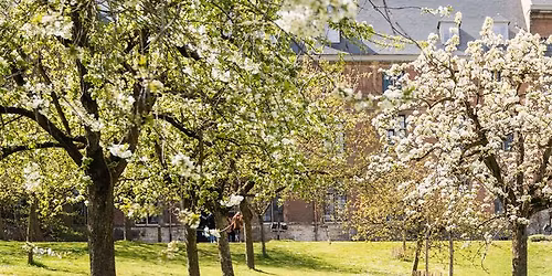 Ecomarkt in de Sint Pietersabdij Gent