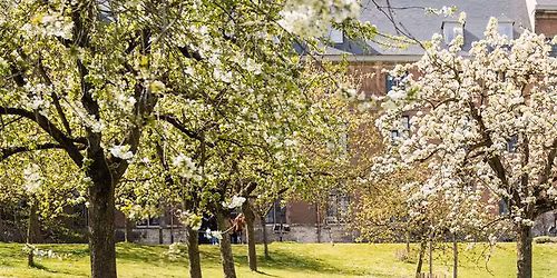 Ecomarkt in de Sint Pietersabdij Gent