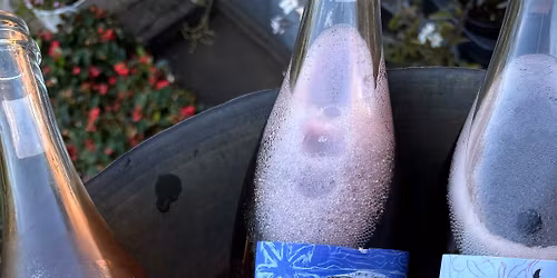 Winetasting @dehopduvel Gent