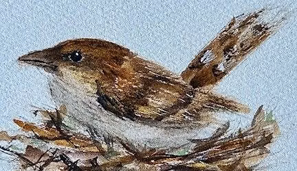 Painting a Bird & Nest in Watercolor