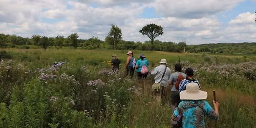 Juneteenth Walk