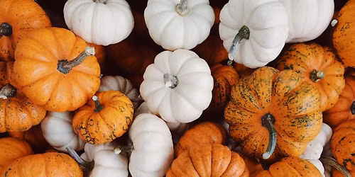 Harvest Festival