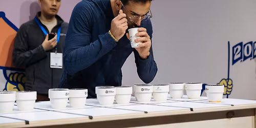Special Coffee Cupping