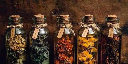 Sun & Vitality: Herbal Medicine for Energy