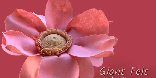 Giant Felt Wildflower Class