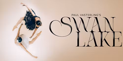 Parking Swan Lake - Nashville