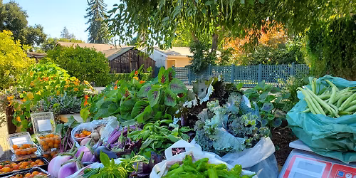 Edible Gardening for Spring and Summer