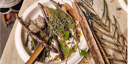 CORK: NATURE AND ART CAMP