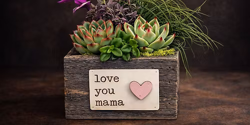 Love You, Mama: A Mother\u2019s Day Succulent Garden Workshop