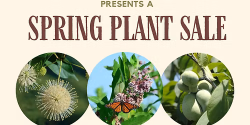 Spring Plant Sale