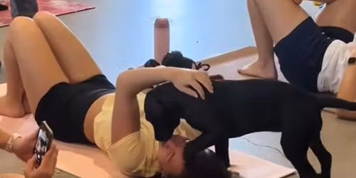 Canine Yoga for a Cause 