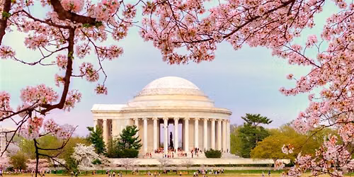 National Mall Discovery