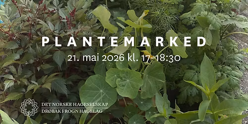 Plantemarked