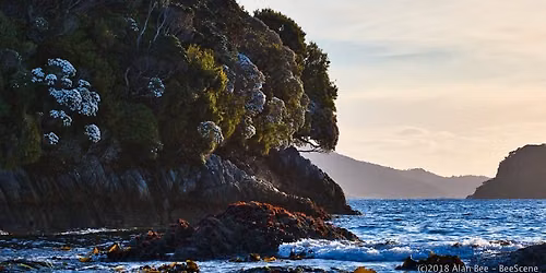 Fiordland Wilderness Adventure - October 2026