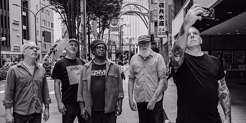 Tortoise \u2022 Cactus Brugge \u2022 I.s.m. KAAP