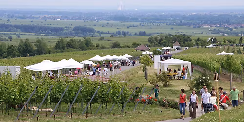St. Martiner WeinWeg 2026