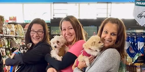 Meet & Greet - Monster Pets