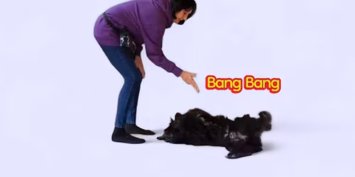 Trick Training Workshop