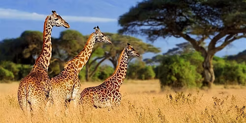 Design for Life Tanzania: Annual Reunion