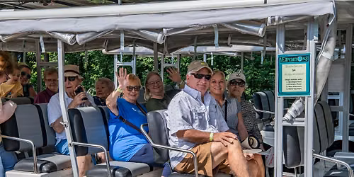 Senior Safari 