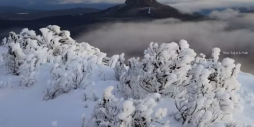 Walking Wild Tasmania