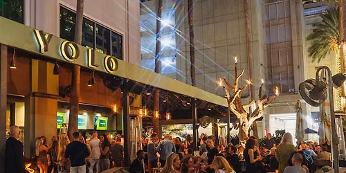 Ladies Night Market at YOLO