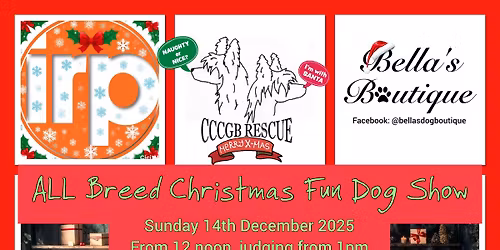 ALL BREED CHRISTMAS FUN DOG SHOW
