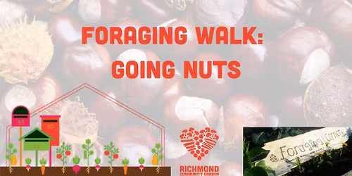 Foraging walk: Going Nuts! 