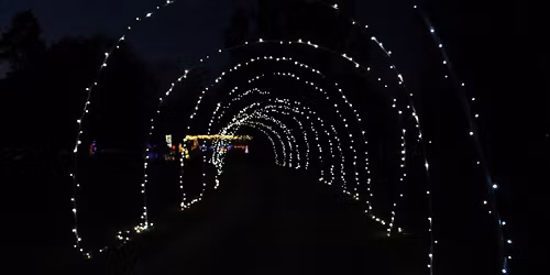 Christmas in the Country