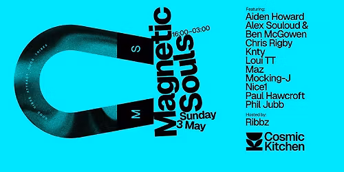 Cosmic Sessions: MAGNETIC SOULS (Third Birthday) Bank Holiday Sunday Day into Night Party