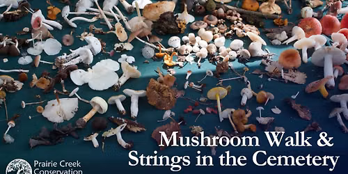 Mushroom Walk & Strings in the Cemetery