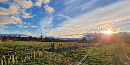 Hereford River Loop - Free Guided Walk in Herefordshire