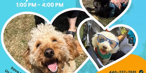 19th Annual Pet Carnival