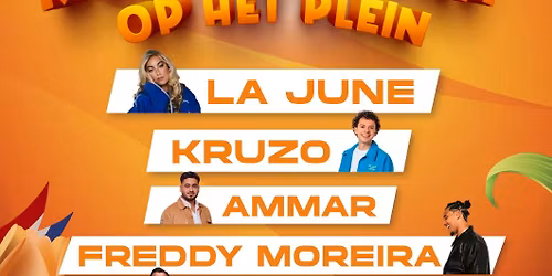 KONINGSNACHT OP HET PLEIN