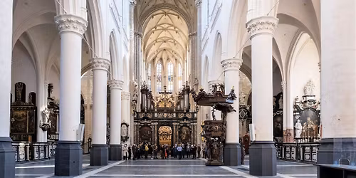 \u2728 Nieuwjaarsconcert \u2013 Pelgrimsconcert \u2728