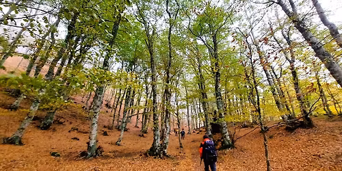 ESPLORANDO LA LUCANIA