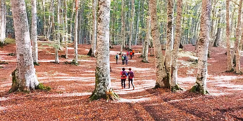 ESPLORANDO LA LUCANIA